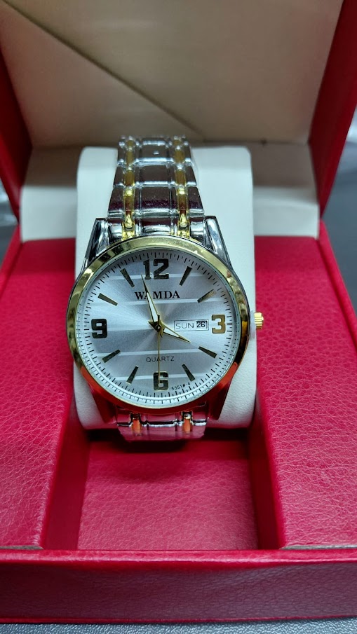 Wamda Silver Analog Watch (Light Dial)